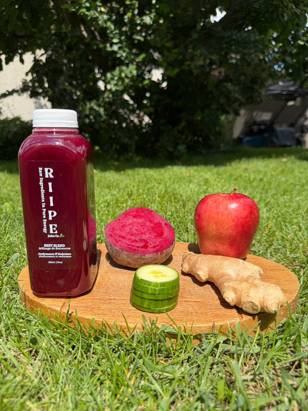 Beet Blend